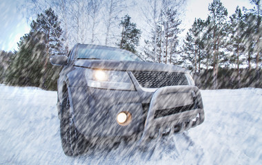 Wall Mural - SUV in the forest in winter