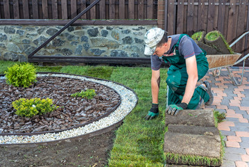 Wall Mural - Landscape Gardener Laying Turf For New Lawn