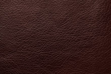 Texture Of Dark Brown Leather As Background, Closeup