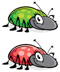 Poster - vector illustration of a ladybug