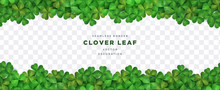Clover Shamrock Leaf Seamless Border On Transparent Background Vector Decorative Elements Template