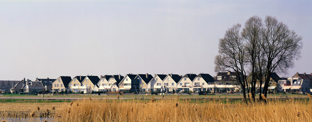 Wall Mural - houses and field Holland