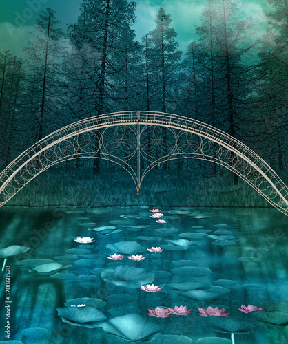 Fotografía Dark and foggy forest landscape with a bridge over a crystal clear pond