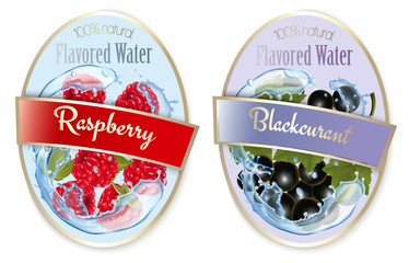 Canvas Print - Set of labels with fruit and berries flavored water. Raspberry and black curant. Vector.