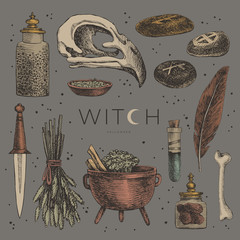 Poster - Set of mystical items for witchcraft vector illustration. Elements of witch or wizard set: cauldron, banks of potion, bird skull, herbs, magic stones, amulets. Pagan traditions. Magic and spiritual.