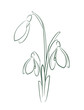  The logo of a snowdrop flower.