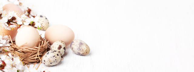 Wall Mural - Nest with eggs decorated blossoming branches on white wooden background. Banner for website, Easter concept.