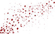 Falling red rose petals seasonal confetti, blossom elements flying isolated. Abstract floral background with beauty roses petal. design for greeting cards on March 8, Women Day, Valentine's Day.