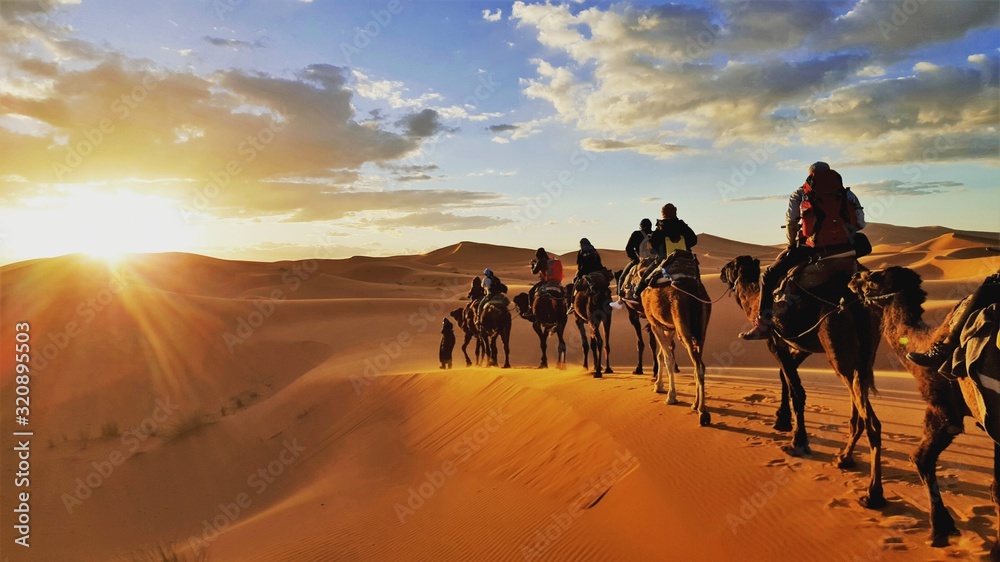 camel caravan in the desert Sahara Morrocco - obrazy, fototapety, plakaty 