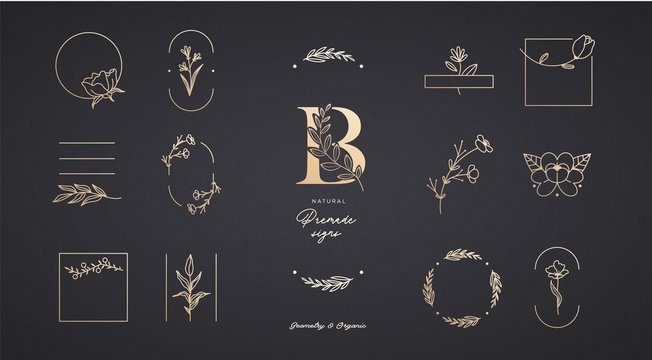 Set of minimalistic elegant geometric floral elements. Premade decorative fashion labels, signs