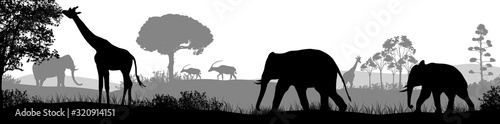 Dekoracja na wymiar  afrykanskie-safari-zwierze-sylwetka-krajobraz-scena