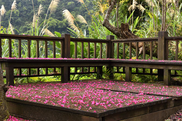 Wall Mural - falling flowers on floor