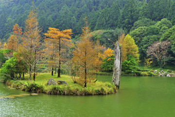 Wall Mural - Scenic shot of the park