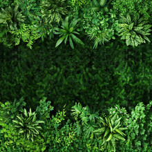 Green Plants Background Bordered By A Frame Of Leaves. Vegetative Background From Leaves And Plants. Lush, Natural Foliage. Green Vegetation Backdrop.  High Quality Image For Professionnal Compositing