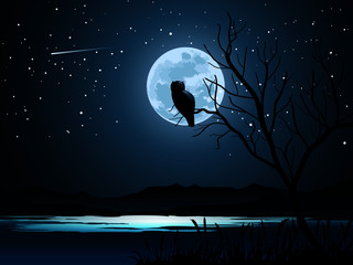 owl on the moon