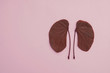 kidney shaped leaves , organ donor day, world kidney day, kidney cancer concept