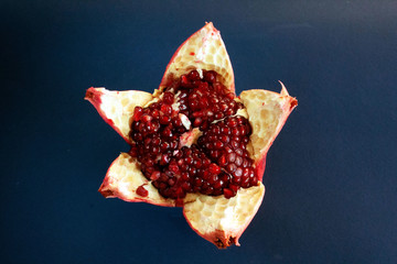 pomegranate on a blue background.