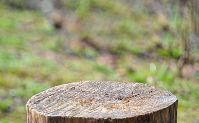 Abstract grey hues of wooden plank and billet seats in the seat of a wonderful interesting variant alternative backgrounds.