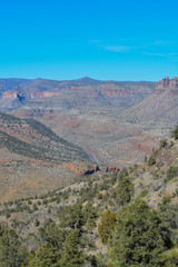 Wall Mural - Scenic Beauty of Salt River Canyon in Gila County, Tonto National Forest, Arizona USA