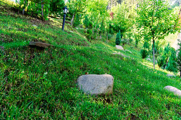 Stone-Rock based garden decoration consept