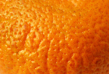 Wall Mural - Citrus Orange Peel. Orange background Pores close-up of a natural product.