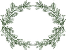 Vector Floral Frame From Sketches Oak Branches With Ribbon