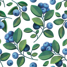 Berries And Leaves Of Bilberry Seamless Pattern Isolated On White Background. Natural Fresh Organic Summer Pattern. Garden Texture. 3d Rendering With Watercolor Painting Of Blueberry Branches.