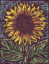 Colorful Old Stamp Style Sunflower