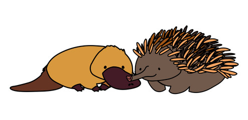 Poster - platypus and echidna on white background