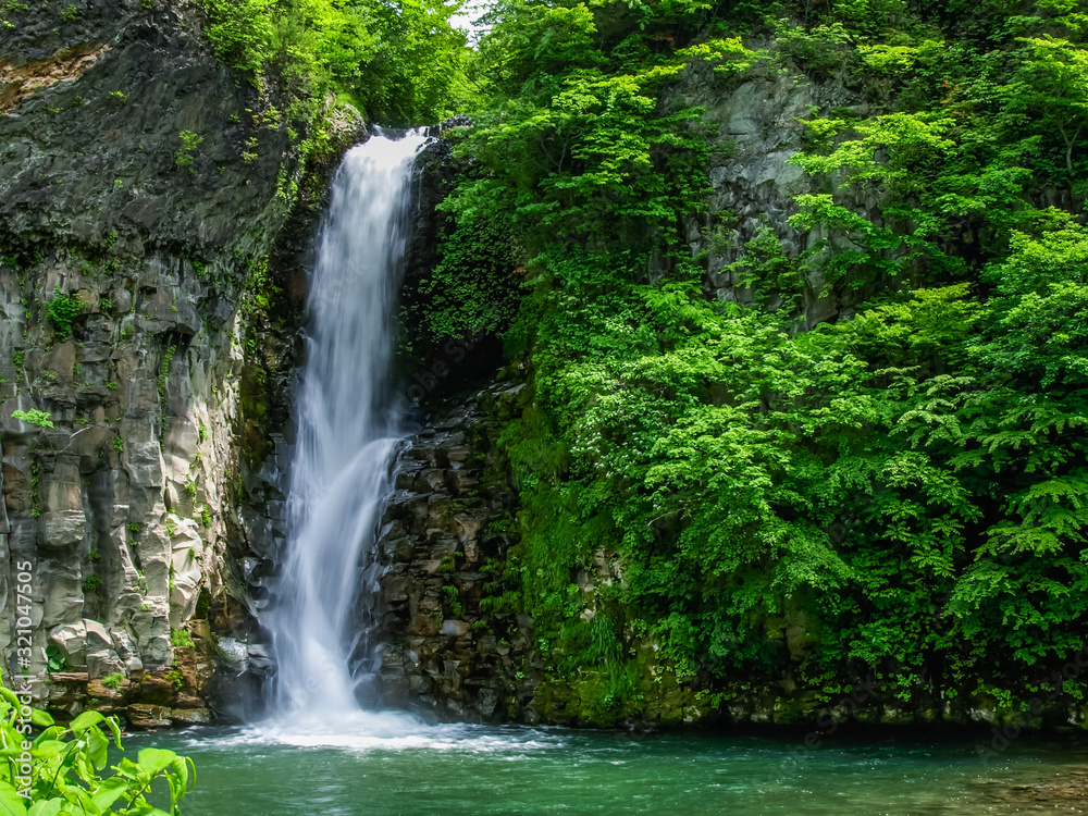 choshinotaki falls　銚子の滝 - obrazy, fototapety, plakaty 