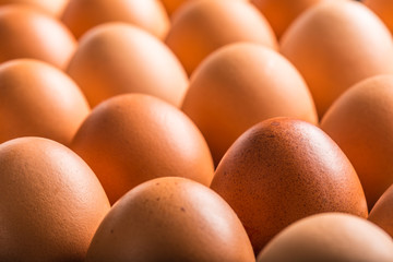 Chicken eggs in carton box - Close up