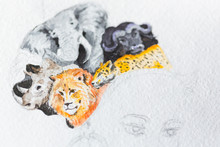 Unfinished Watercolor Of African Girl With African Wild Animals: Elephant, Lion, Hippo, Leopard, Buffalo