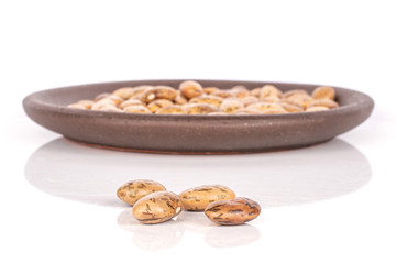 Wall Mural - Lot of whole raw mottled brown bean pinto with brown ceramic coaster isolated on white background