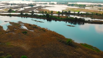 Poster - Flying over the Dnieper River, below are small islands on which trees and bushes grow.