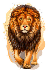 Wall Mural - lion. artistic, color, realistic portrait of a lion walking forward on a white background with water