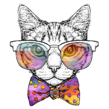 Hand Drawn Portrait Of Cat In Glasses With Bow Tie. Vector Illustration Isolated On White