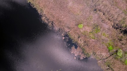 Aufkleber - movement over small wild islands on the Dnieper river.