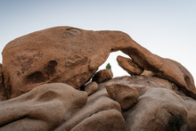 Sitting Underneath Arch Rock In Joshua Tree National Park, California During Early Morning In The Desert