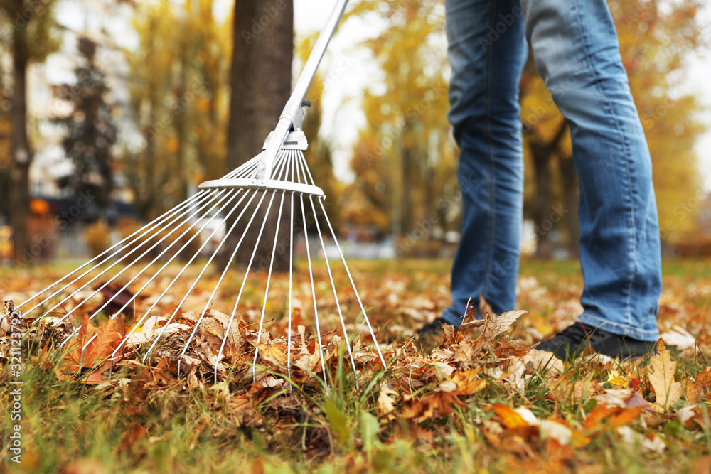 Person raking dry leaves outdoors on autumn day, closeup