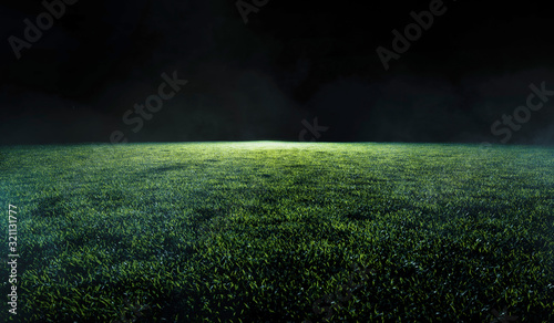 Cuadros en Lienzo Low angle view across a soccer or sports field