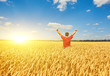 © Ryzhkov Oleksandr - farmer standing in a wheat field