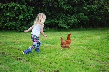 Child chasing chickens on an open grass field