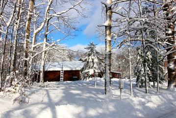 Wall Mural - Snowy winter Wisconsin countryside landscape.Scenic winter morning landscape with buildings between trees covered by fresh snow and blue sky after heavy snowfall.Midwest of USA, Wisconsin,Wausau area.