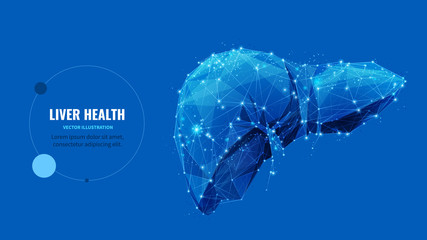 Fototapete - Liver health low poly wireframe banner vector template. Cirrhosis and hepatitis medical treatment, transplantation service poster polygonal design. Human organ 3d mesh art with connected dots