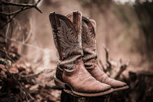 Worn Western Style Cowboy Boots Sitting Outside On A Tree Stump In Texas