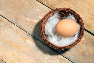 brown egg in a nest with chicken fluff on a rustic background