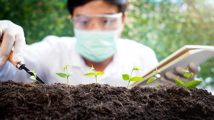 Wall Mural - Select focus Seedling over blurred Smart Farmers t