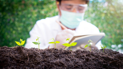 Wall Mural - Select focus Seedling over blurred Smart Farmers t