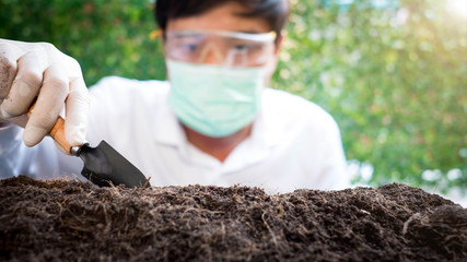 Wall Mural - Select focus Seedling over blurred Smart Farmers t