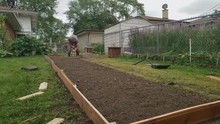Home Gardening - Man With Long Hair And Glasses And In T-shirt Wearing Shorts And Boots Working On Setting Up New Vegetable Garden Area.